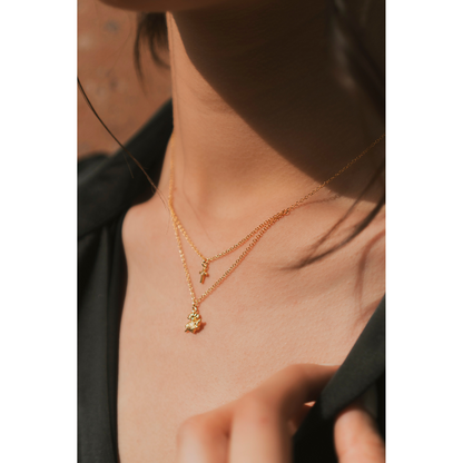 Necklace of the Sacred Heart of Mary with mini Cross